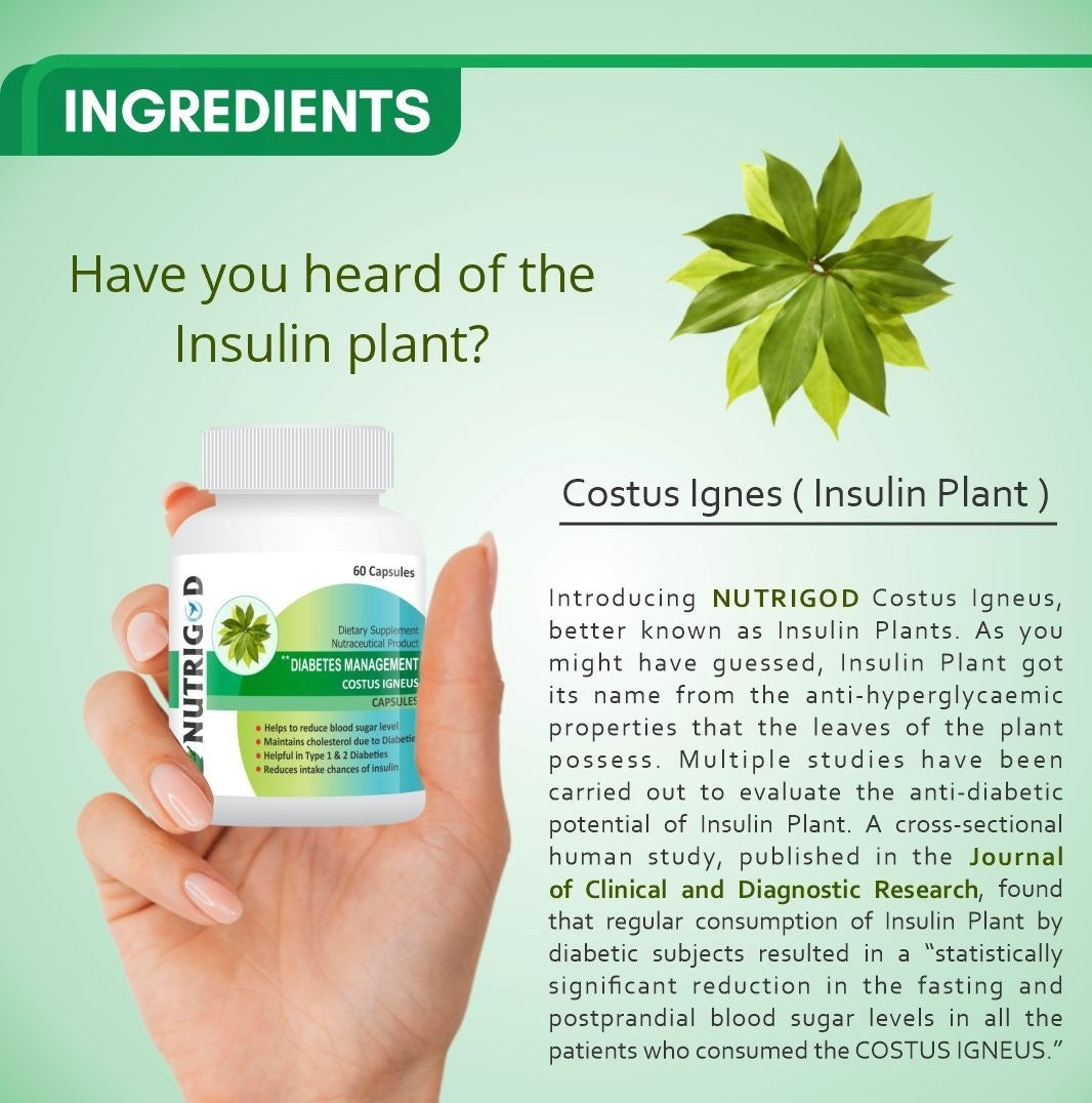 Nutrigod Diabetes Management Costus Igneus Capsules , Ayurvedic Diabetic care capsules , Ayurvedic Diabetes care Medicine , Insulin Plant Extract Capsules Pack of 60